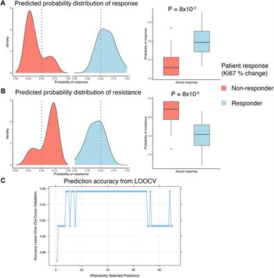 Predicting clinical response to everolimus in ER+ breast cancers using machine-learning